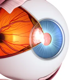 Vision Workout : Eye Training logo