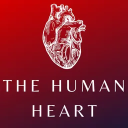 Heart Anatomy and Physiology logo