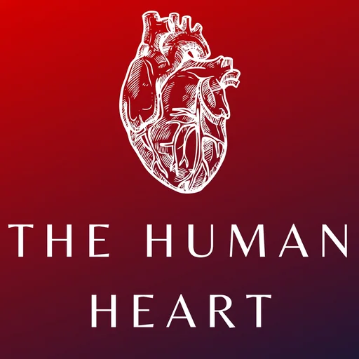 Heart Anatomy and Physiology logo
