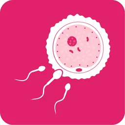 Period & Ovulation Calculator logo