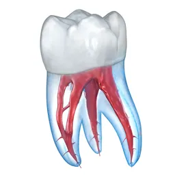Dental 3D Illustrations logo
