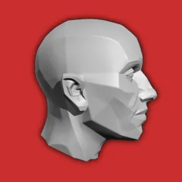 Head Study logo