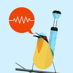 ChirpOMatic Caribbean logo