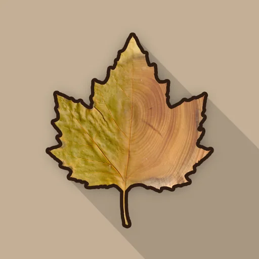 Creative Woodturner logo
