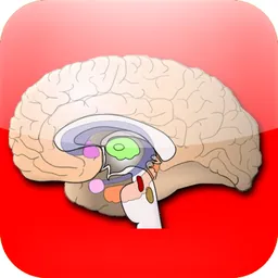 Anatomy Atlas logo