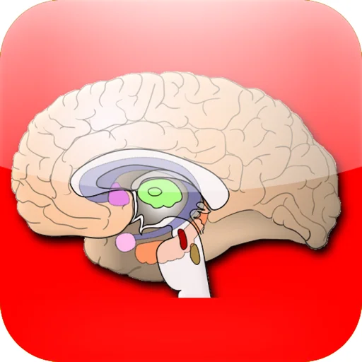 Anatomy Atlas logo