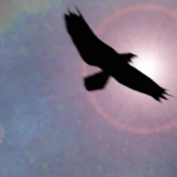 Shamanic Journey Drumming - Frauke Rotwein logo