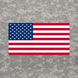 U.S. Armed Forces logo
