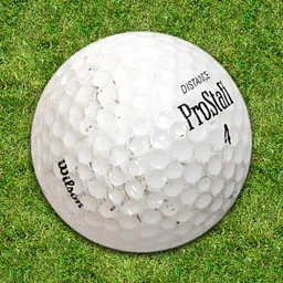 Golf logo