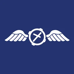 NAIPS logo