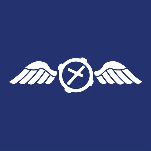 NAIPS logo