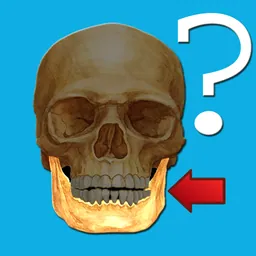 Anatomy Quiz logo