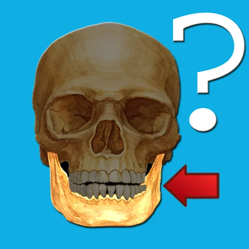 Anatomy Quiz logo