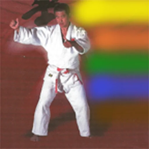 Judo Gokyo logo