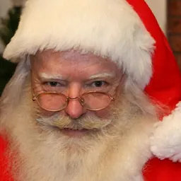 Video Calls with Santa logo
