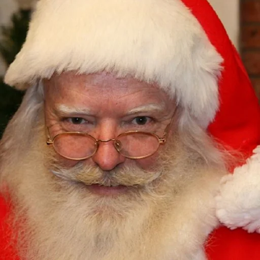 Video Calls with Santa logo