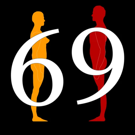 69 Positions Pro for Kamasutra logo