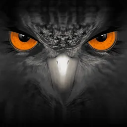 EagleEyes-plus logo