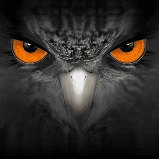 EagleEyes-plus logo