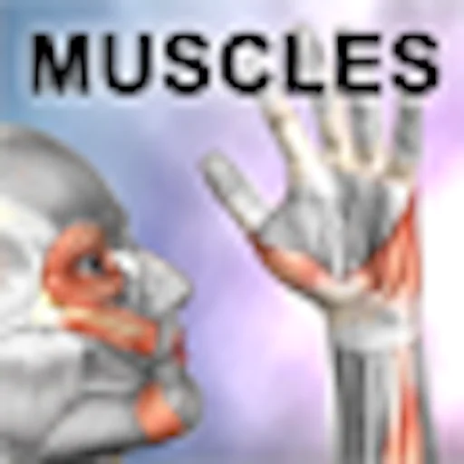 Learn Muscles: Anatomy logo