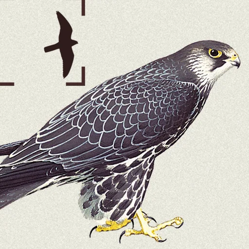 Birds of Northern Europe logo