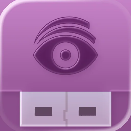 USB Disk logo