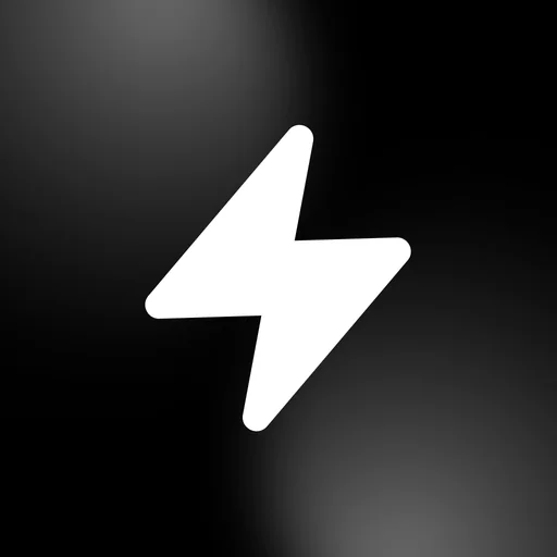 번개장터 logo