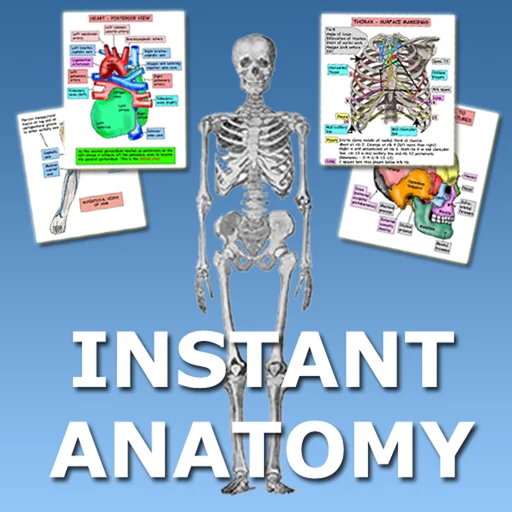 Instant Anatomy Flash Cards logo