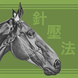 Equine AcuPoints logo