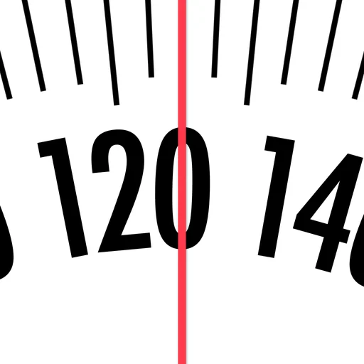 Weight Diary logo