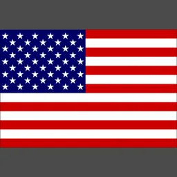 United States Puzzle logo