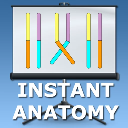 Embryology Lectures logo
