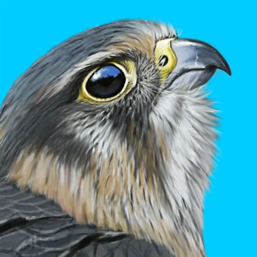 iBird UK Pro Guide to Birds logo