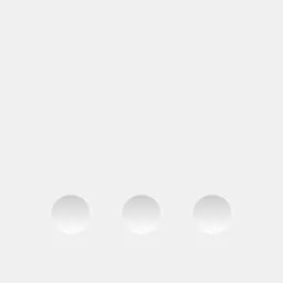 Private Browsing White logo