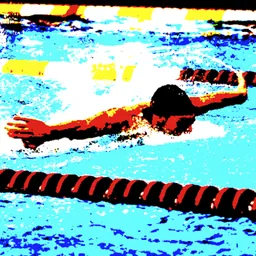 Swim Converter logo