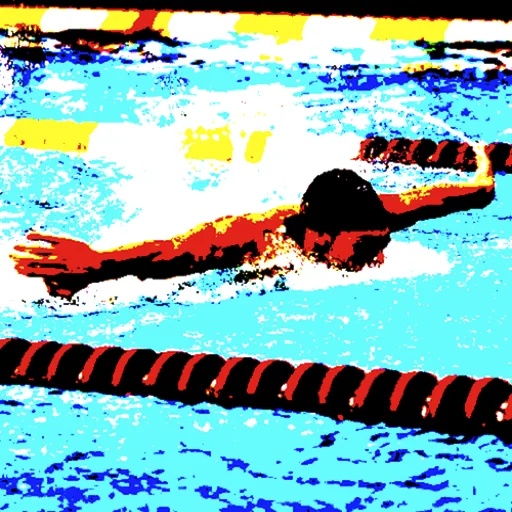 Swim Converter logo