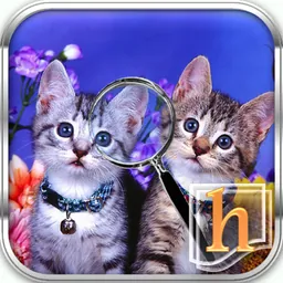 h Find The Differences 1 HD logo