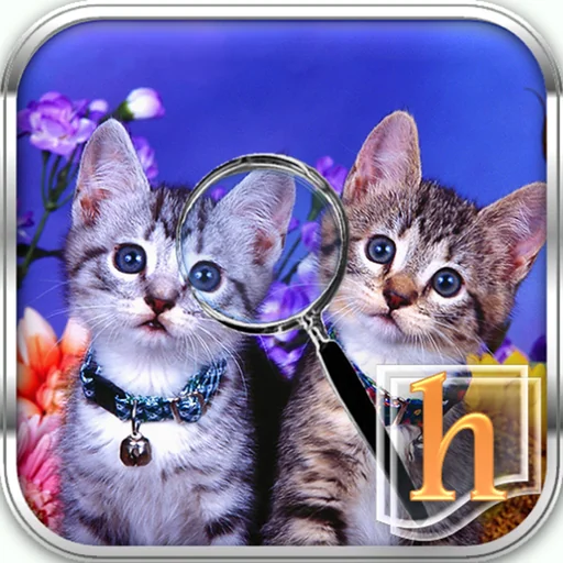 h Find The Differences 1 HD logo