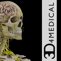Brain & Nervous System Pro III logo