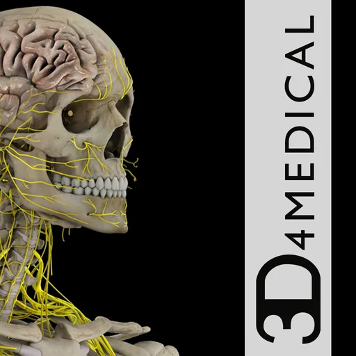 Brain & Nervous System Pro III logo