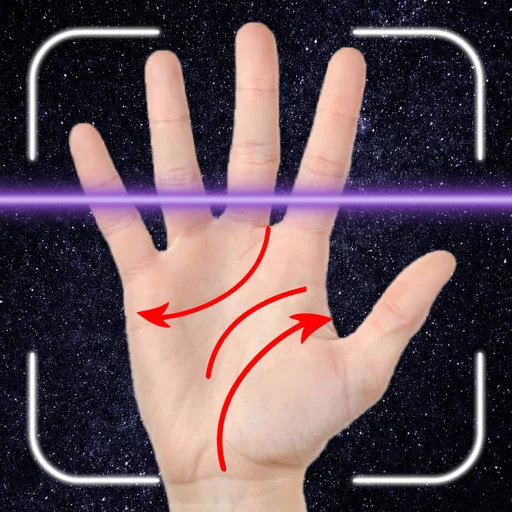 Palm Reader: Future Palmistry logo