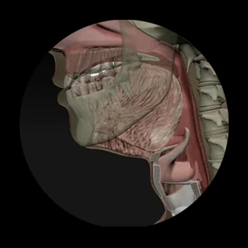 Dysphagia logo