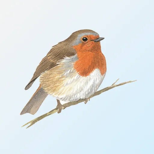 eGuide to British Birds logo