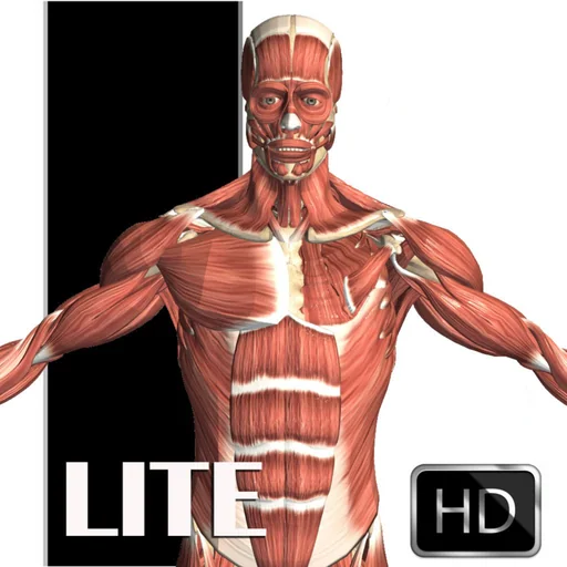 Visual Anatomy Lite logo