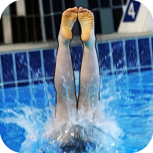 DiveChamp logo