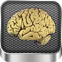 Brain Anatomy logo