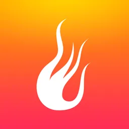 Lighter Pro logo