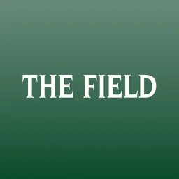 The Field Magazine INT logo