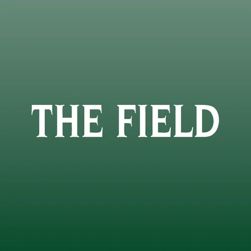 The Field Magazine INT logo