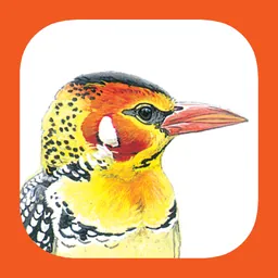 eGuide to Birds of East Africa logo
